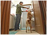 さくら きょうのわんこ 写真4