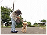 オレオ きょうのわんこ 写真4