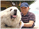 ボク きょうのわんこ 写真3