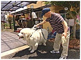 ボク きょうのわんこ 写真5