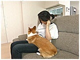 さくら きょうのわんこ 写真4