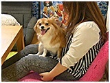 花鈴 きょうのわんこ 写真2