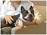 リン きょうのわんこ 写真2