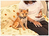 豆助 きょうのわんこ 写真2