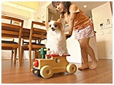 ペネロペ きょうのわんこ 写真3
