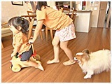 ペネロペ きょうのわんこ 写真4