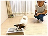 ハル きょうのわんこ 写真3