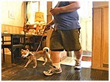 小太郎 きょうのわんこ 写真3
