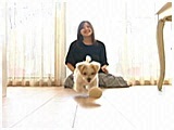天々 きょうのわんこ 写真4