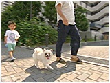 モコ きょうのわんこ 写真5