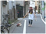 文磨・九 きょうのわんこ 写真5