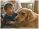 大豆 きょうのわんこ 写真3
