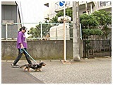 アギト きょうのわんこ 写真2