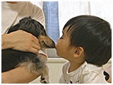 カシス きょうのわんこ 写真3