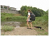 カシス きょうのわんこ 写真4