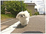 くう きょうのわんこ 写真2