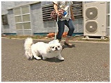 くう きょうのわんこ 写真5