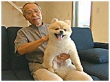 ぽん太 きょうのわんこ 写真2