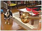 福助 きょうのわんこ 写真5