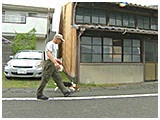 福助 きょうのわんこ 写真4
