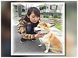 まめ きょうのわんこ 写真3