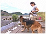 Lana きょうのわんこ 写真3