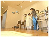 SUN太 きょうのわんこ 写真3