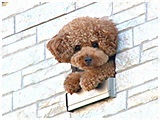 はなまる きょうのわんこ 写真4