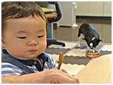ジャイロ きょうのわんこ 写真3
