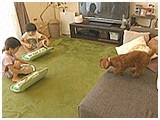 小梅 きょうのわんこ 写真3