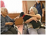 華 きょうのわんこ 写真4