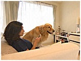 そら きょうのわんこ 写真2