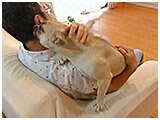 栗子 きょうのわんこ 写真3