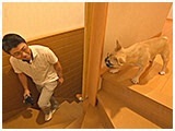 栗子 きょうのわんこ 写真4