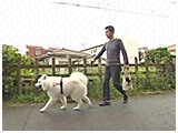 太郎 きょうのわんこ 写真2