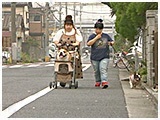 アンディー きょうのわんこ 写真5