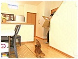 ナッツ きょうのわんこ 写真3