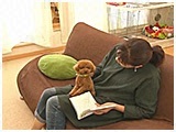 ルーシー きょうのわんこ 写真2