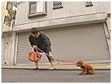 ルーシー きょうのわんこ 写真3