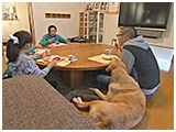 ナーブ きょうのわんこ 写真2