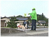 マロン きょうのわんこ 写真5