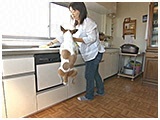 未来 きょうのわんこ 写真5