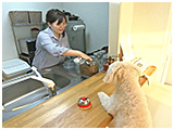 マリン きょうのわんこ 写真4