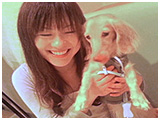 トフィ きょうのわんこ 写真3