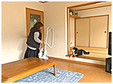 リン きょうのわんこ 写真3