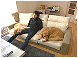 陽・颯 きょうのわんこ 写真2