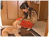 パフィ きょうのわんこ 写真4