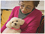 べティー きょうのわんこ 写真2