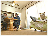 小次郎 きょうのわんこ 写真2
