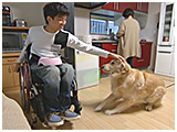 ガロ きょうのわんこ 写真3